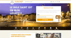 Desktop Screenshot of lemalesaint.fr